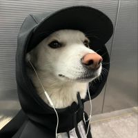 Cx-Delrey